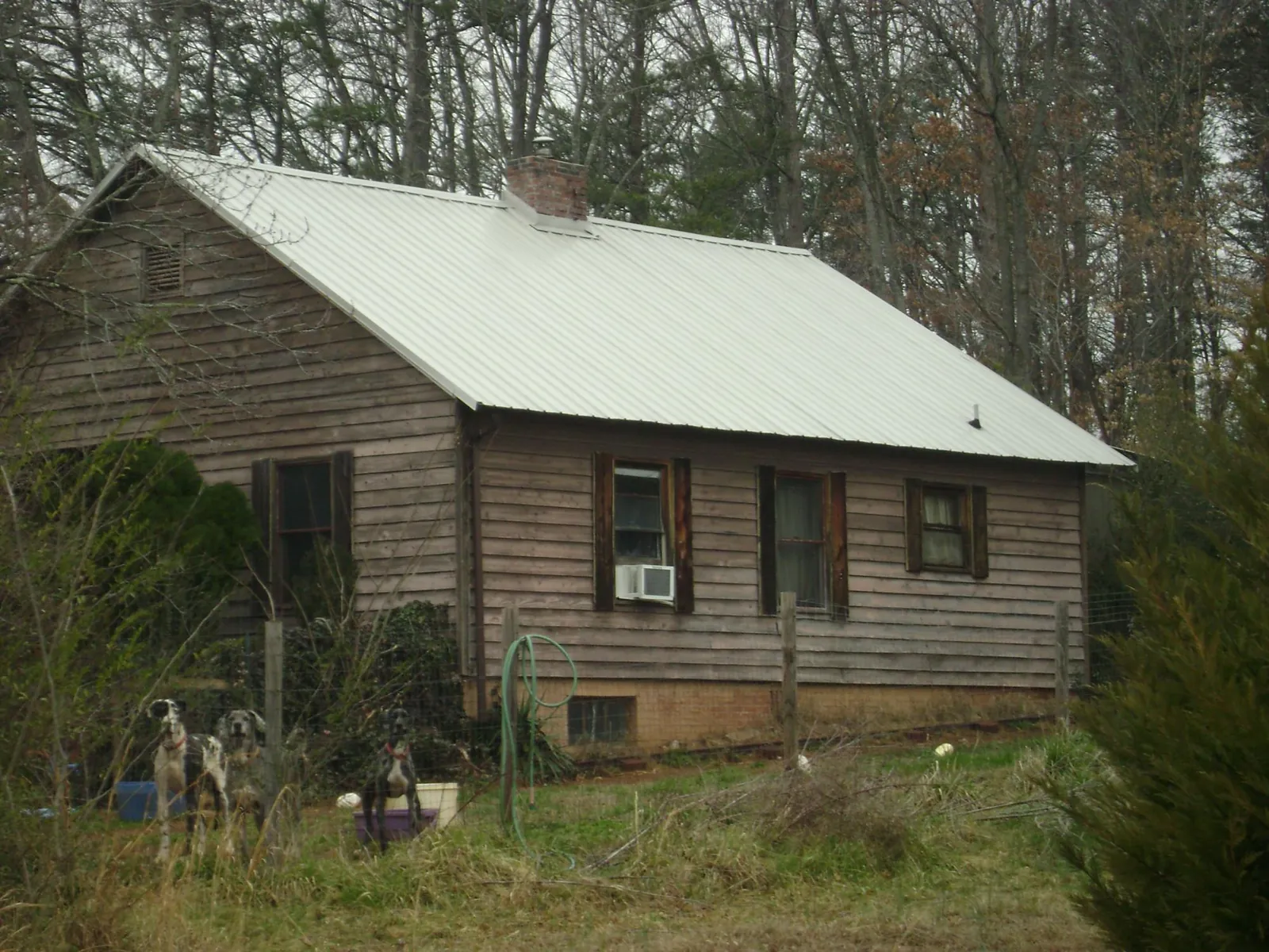 White metal roof on an old wood sided farmhouse, from a Asphalt Shingle Roof Repair job in Lindsay